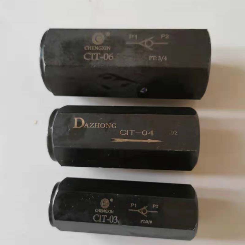 Straight stop backstop valve CIT-04 CIT-06 08 CIT-10 CIT-12 CIT-12 C1T-16 A-H10L