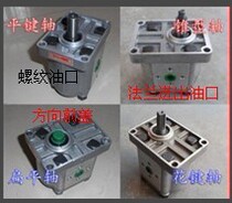 2-hole Mounting Oil Pump CBW-E306 CBW-E310 CBW-E316 CBW-E320 CBW-E325