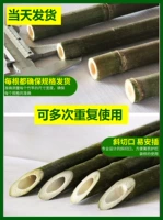 1 см толщиной 1 метр (10)+Специальная веревка для галстука