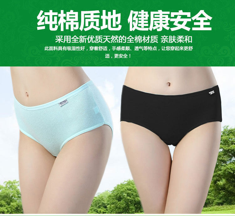 Slip jeunesse en coton - Ref 640111 Image 11