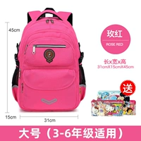 Роза красная