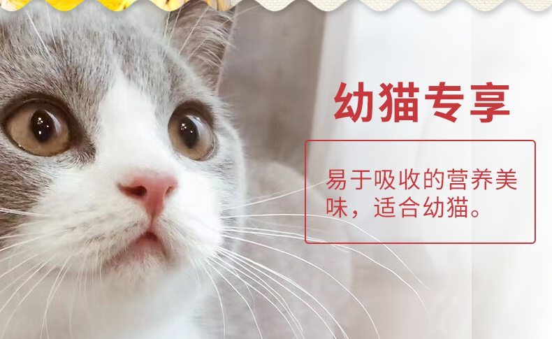 Inabao CIAO 啾 Fluid Cat Snacks / Liquid Cat Strips Cute Cat Tuna Flavor SC70C thức ăn cho mèo gần đây