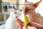 Zoo│MISSPET 呀! Cat Taurine Eyesight Hair Fresh Meat Mud Cream Snacks 75g Bổ sung dinh dưỡng - Đồ ăn nhẹ cho mèo minino yum 1.5 kg