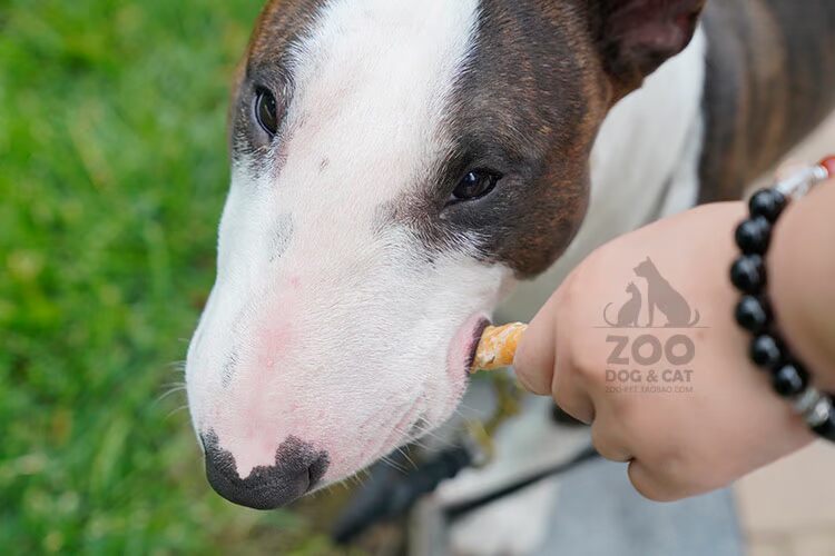 Zoo│ Rimu Anxin Pet Dog Huấn luyện Phần thưởng Thịt Thịt Đồ ăn khô Molar Làm sạch Răng Làm đẹp Thịt Đồ ăn vặt - Đồ ăn vặt cho chó thức ăn bổ máu cho chó