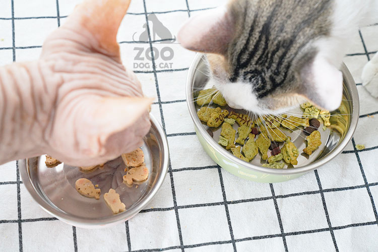 VÒI - Cat / Dog hàng ngày Neccessities bình nước treo chuồng chó