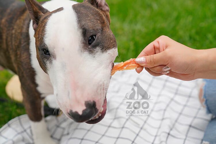 Zoo│ Rimu Anxin Pet Dog Huấn luyện Phần thưởng Thịt Thịt Đồ ăn khô Molar Làm sạch Răng Làm đẹp Thịt Đồ ăn vặt - Đồ ăn vặt cho chó thức ăn bổ máu cho chó