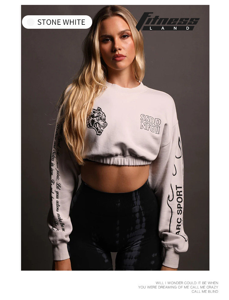 Имеется в наличии в китае DARC круглый вырез свитер краткое модель MOVE FAST "GWEN" CROPPED CREWNECK 