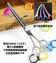 ZEBRA ZEBRA scissors E60046 haircut scissors haircut scissors scimitar grooming scissors 6 inch scissors