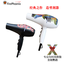 Fengfeng hair dryer 5600A electric hair blower high temperature light quiet sound hair salon with styling hair dryer