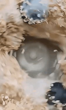 P_016.gif