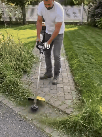 1013.gif
