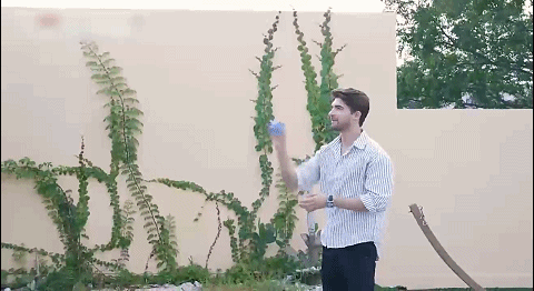 8.gif