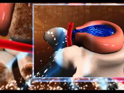 20240710_105849_015.gif