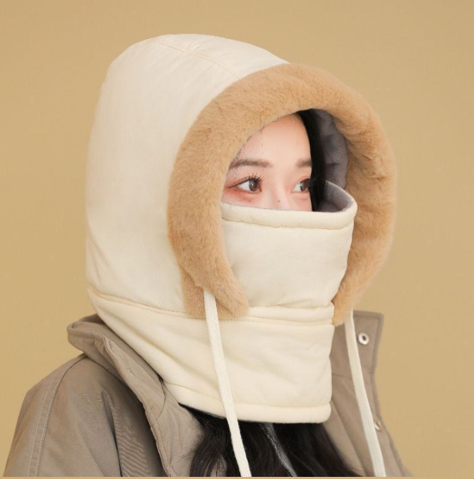 P_017.png