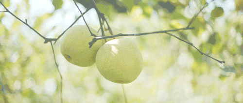 3.gif