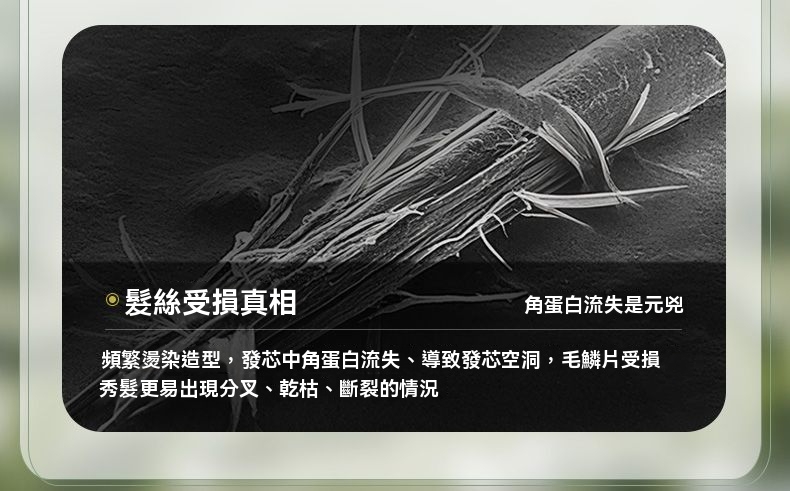 1008.jpg