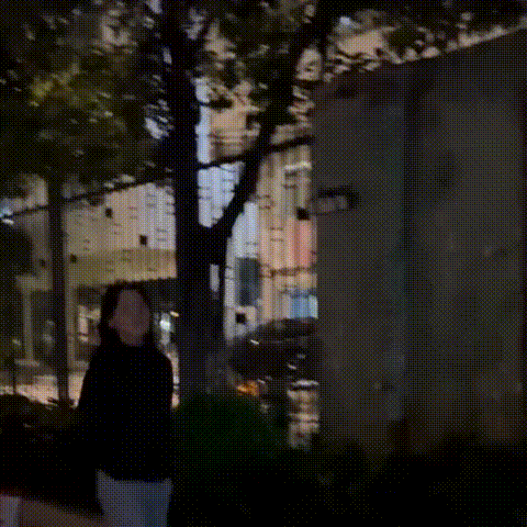 20251117_160648_011.gif