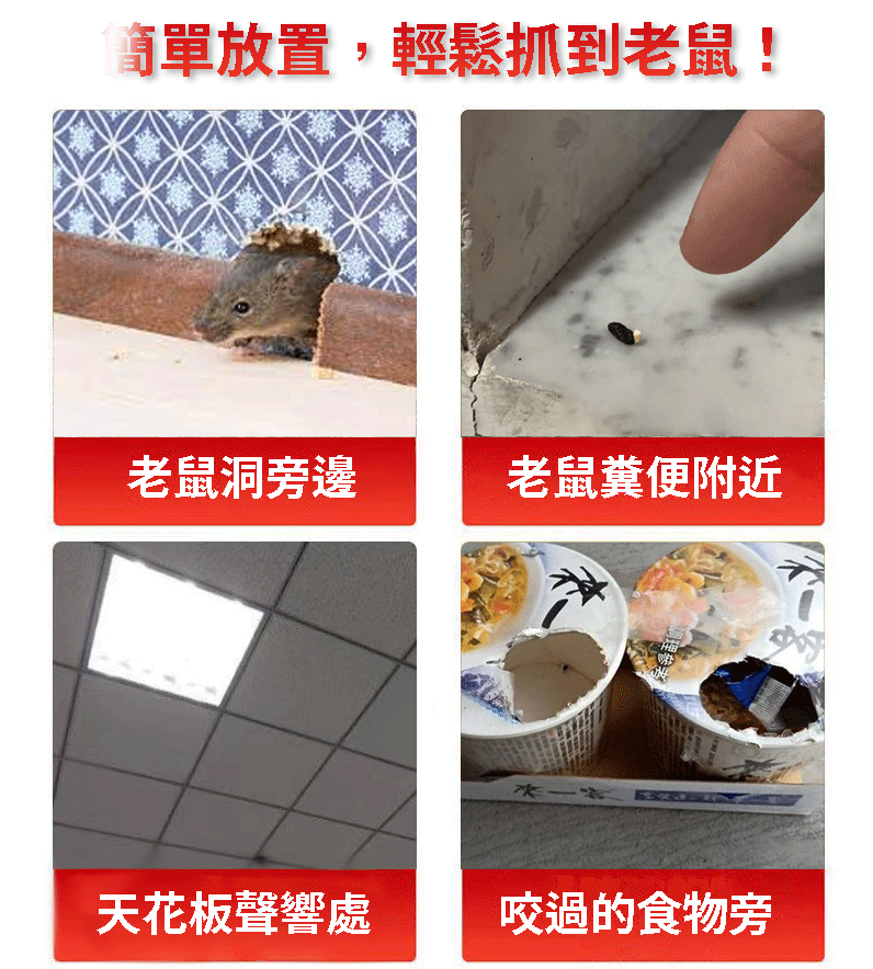 P_010.jpg
