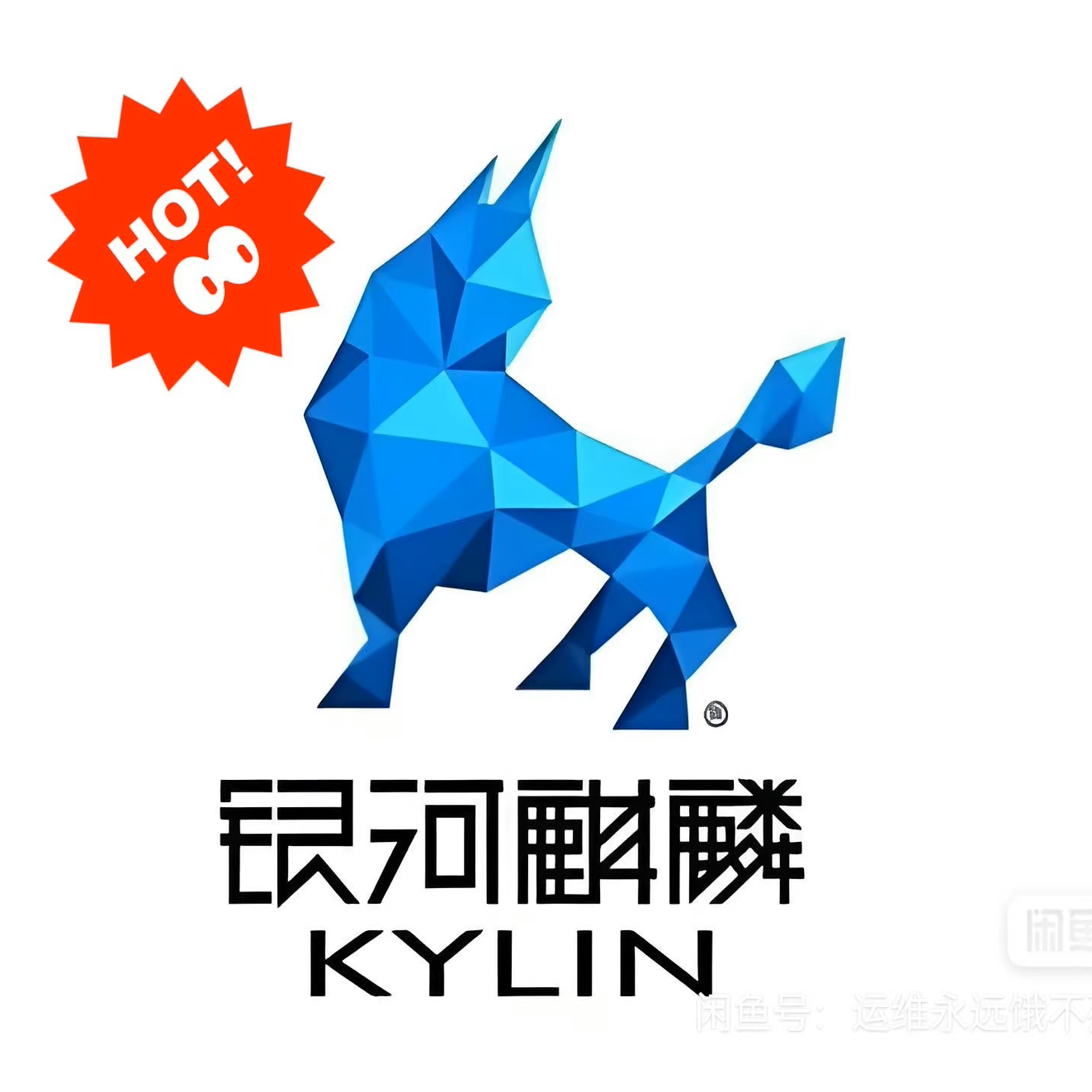 银河麒麟&amp;统信系统下JDK离线安装秘籍，信创国产化轻松搞定！