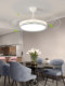 Living Room Lamp, Main Hall Lamp, High-End Home Atmosphere Ceiling Lamp, Bedroom Lamp, Modern Simple Whole-House Lighting Set