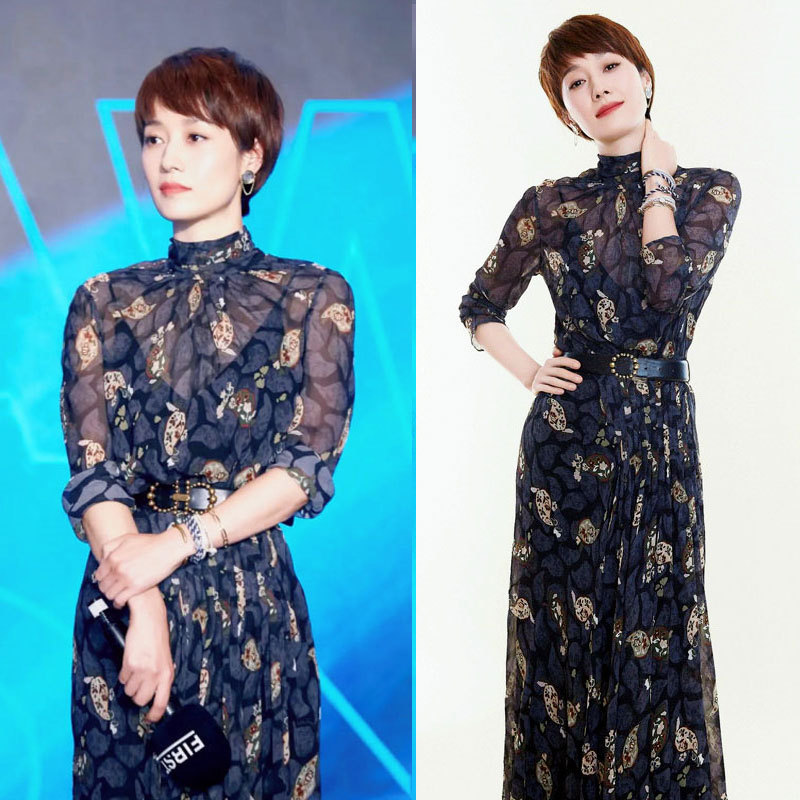 Ma Yili Celebrity-Inspired Fashionable Chiffon Printed Long Dress with Stand Collar, Back Tie, Slim Fit, and Back Slit