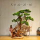 Simulated welcoming pine root carving bonsai ornaments for landscaping hotel B&B tea room tree roots simulated tree entrance hall indoor landscape
