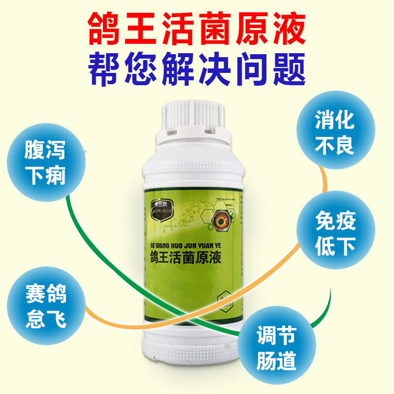 Chim bồ câu chim bồ câu y học Daquan chim bồ câu thuốc dưới túi sac đờm sống vi khuẩn ban đầu chất lỏng sống vi khuẩn vua chim bồ câu y học cung cấp chim - Chim & Chăm sóc chim Supplies lồng bẫy chim chào mào