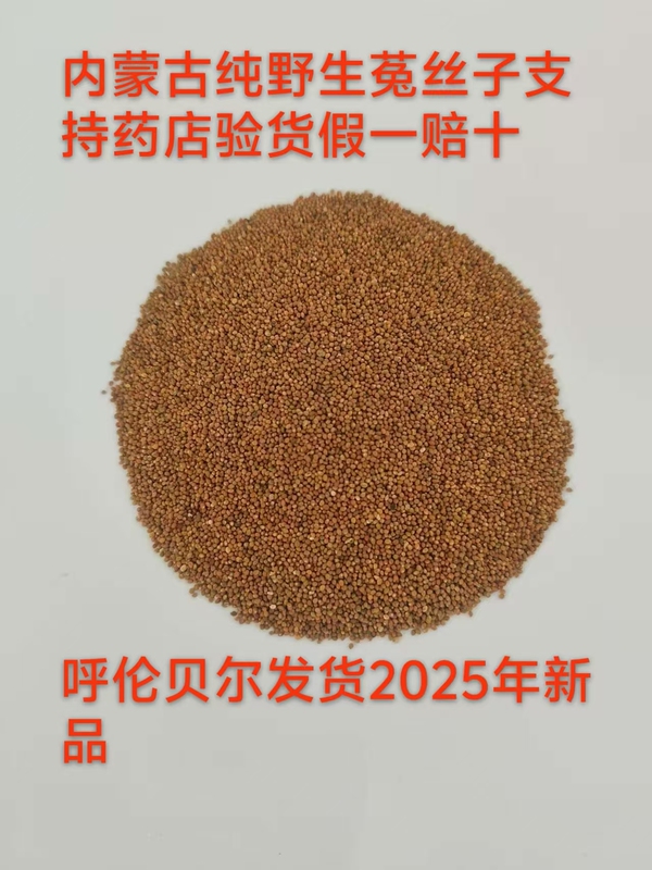 Wild Phragmites Australiana Seeds from Hulunbuir, Inner Mongolia, Phragmites Australiana Seeds Wild Phragmites Australiana Seeds from Hulunbuir, Inner Mongolia, Phragmites Australiana Seeds