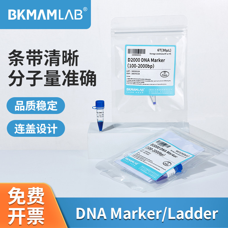 比克曼生物DNA Marker/Ladder核酸凝胶电泳实验三色预染蛋实验