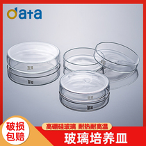 Thickened High borosilicate Glass Petri dish Bacterial cell Plate 60 75 90 100 120 150 200mm