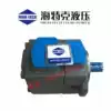 HIGH-TECH Vane Pump PVL1 PV2R1-28-F-1R 2R-U-10 Oil Pump