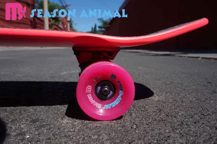 Skateboard pour homme femme SEAASON - Ref 2594519 Image 14