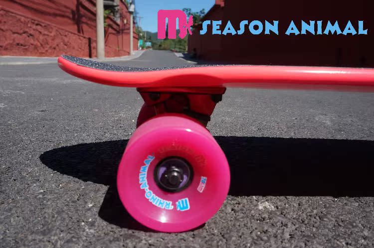 Skateboard pour homme femme SEAASON - Ref 2594519 Image 13