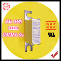 Fuse 2028234 Ae NH000 63A gRL 690V 100kA lava core
