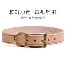 Vegetable tanned cowhide dog collar small dog Teddy cat medium and large dog golden retriever collar pet dog collar collar collar