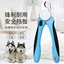 Dele Dog Nail Scissors Cat Nail Clippers Fighting Shiba Inu Medium and Large Dog Teddy Golden Hair Nail Clippers