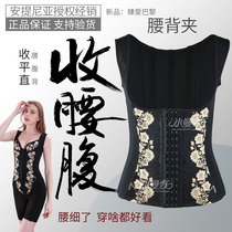 Antinia body shaping clothing waist clip waist belly waist belly artifact collection body shaping vest