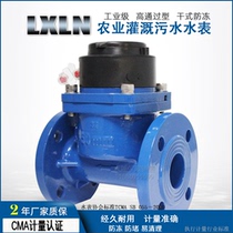 Large caliber industrial flange sewage special Ningbo brand WPI agricultural irrigation DN50DN80 detachable water meter