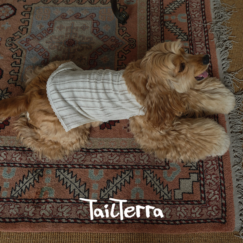 Tailterra Dog French Suspender Dress Spring and Summer Lace Pet Clothes Yorkshire Terrier Teddy Maltese