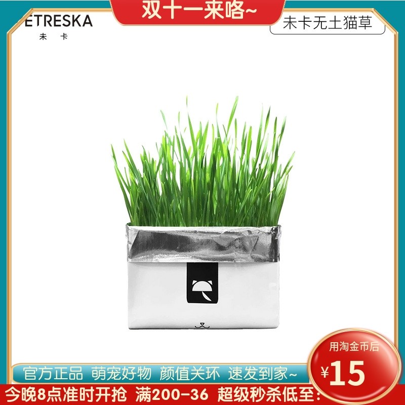 Cat grass seed pet cat hair removal ball mint powder soil barley plant seed snack set supplies
