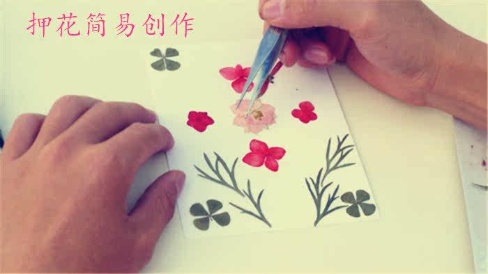 包邮特价超简单新款押花器压花板满天星薰衣草壳干花真花标本 周年庆 干花 压花 满天星 标本 薰衣草途虎网 包邮特价超简单新款押花器压花板满天星薰衣草壳干花真花标本 周年庆 干花 压花 满天星 标本 薰衣草途虎网