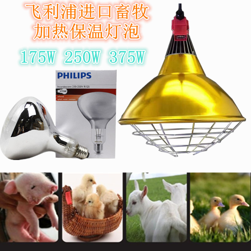 飞利浦畜牧加热保温灯泡耐高温吊灯175W250W375W养殖取暖食品灯泡