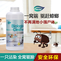 Longson clear cockroach repellent Ant removal Household cockroach medicine spray Indoor kitchen Cockroach repellent nest end