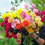 海蒂的花园 Цветочный мех