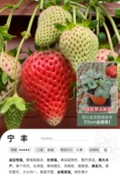 Ningfeng 15см горшок