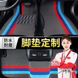 Special Snow-Proof Car Floor Mats for the Driver's Seat, Single Piece, Passenger Seat, Interior Car Mat, Front and Rear Anti-Dirt Mats