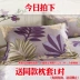 Khăn trải giường cotton chính hãng đơn giường 1,5 m 1,8m giường cotton dày chà nhám bảo vệ trải giường