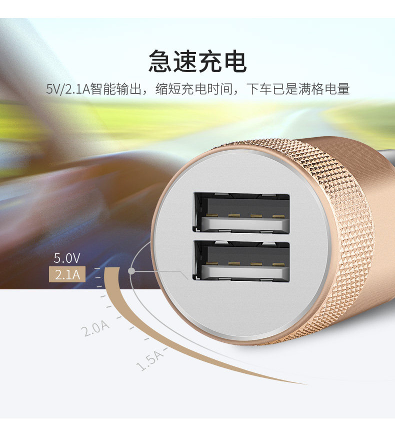 chargeur MKING 2A - Ref 1300444 Image 8