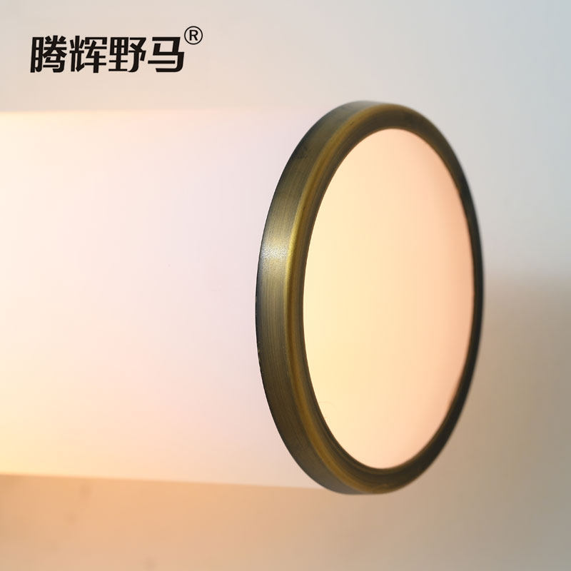 �ڻ�Ұ��led��ǰ��W10236