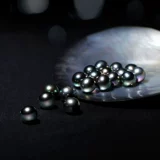 Zhongtan Craftsman Pearl Pearl New Sea, Pearl Pearl, Australia, Black Pearl Black Pearl Nanyang Golden Pearl Akoya